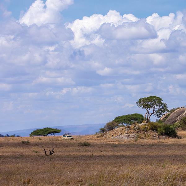 Safari vehicle driving through the Namiri Plains in Tanzania